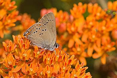 《暗黑破坏神4》第六赛季“憎恨崛起”官网改动日志