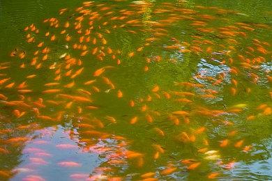 《暗黑4》全球解锁时间公开 最早6月2日8点就能玩了